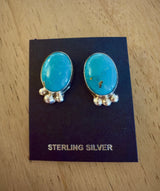 The Water Web Earrings