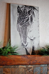 Shy Boy in the Storm Western Horse Canvas Wall Art