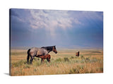 Wyoming Sky Western Horse Wall Art Canvas