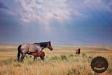 Wyoming Sky Western Horse Wall Art Canvas