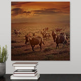 Evening Light Western Horse Wall Art