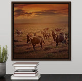 Evening Light Western Horse Wall Art