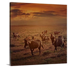 Evening Light Western Horse Wall Art