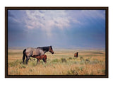 Wyoming Sky Western Horse Wall Art Canvas