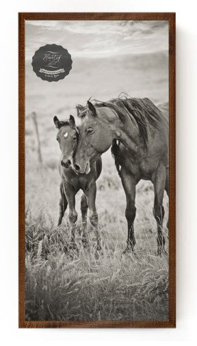 Kindred Horse Western Canvas Wall Art