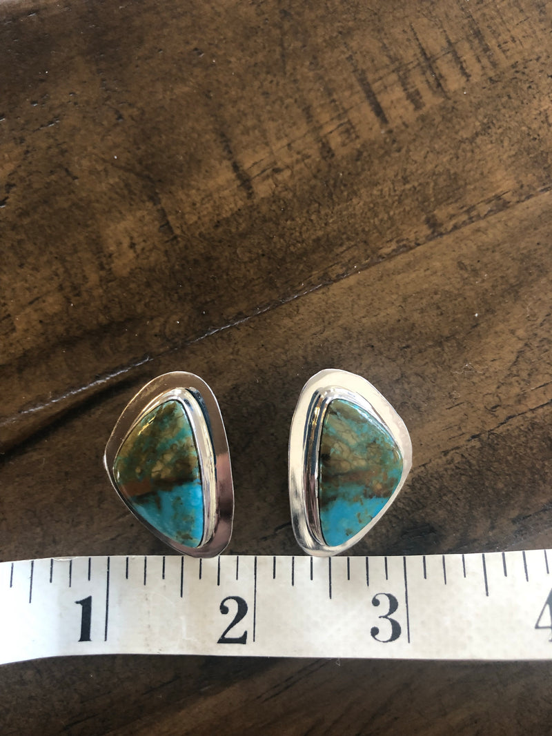The Bliss Canyon Turquoise Earrings