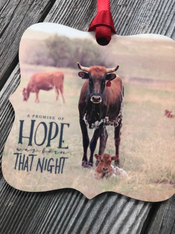 Promise of Hope Western Christmas Ornament