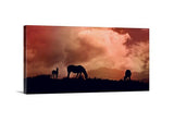 Sunset Silhouette Canvas Horse Wall Art