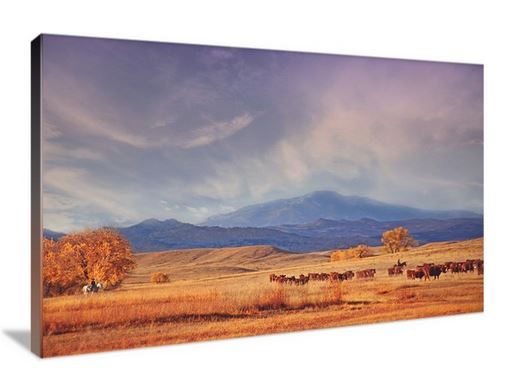 The View from Home Canvas Wall Art